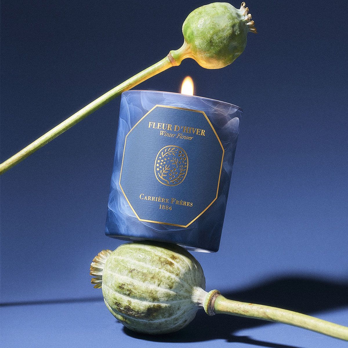 Carrière Frères - Bougie Fleur d'Hiver