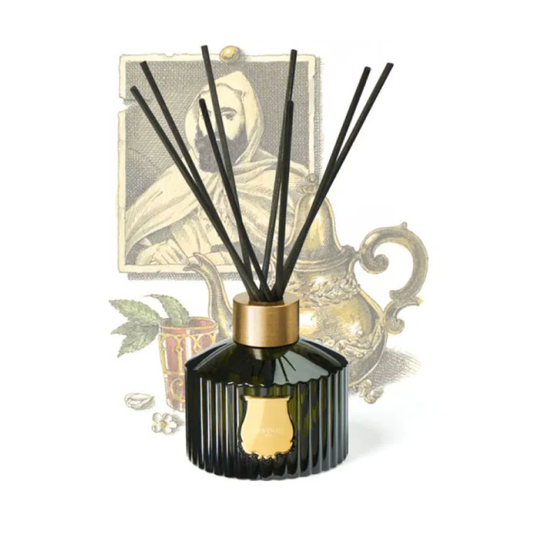 Trudon - Diffuseur 350 ML